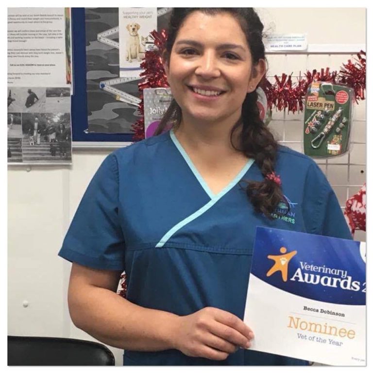 petplan-vet-of-the-year-nomination-blythman-partners